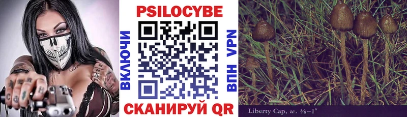 Галлюциногенные грибы Magic Shrooms  Владимир 