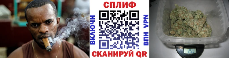 мориарти какой сайт  Владимир  Каннабис тримм  купить наркотики сайты 
